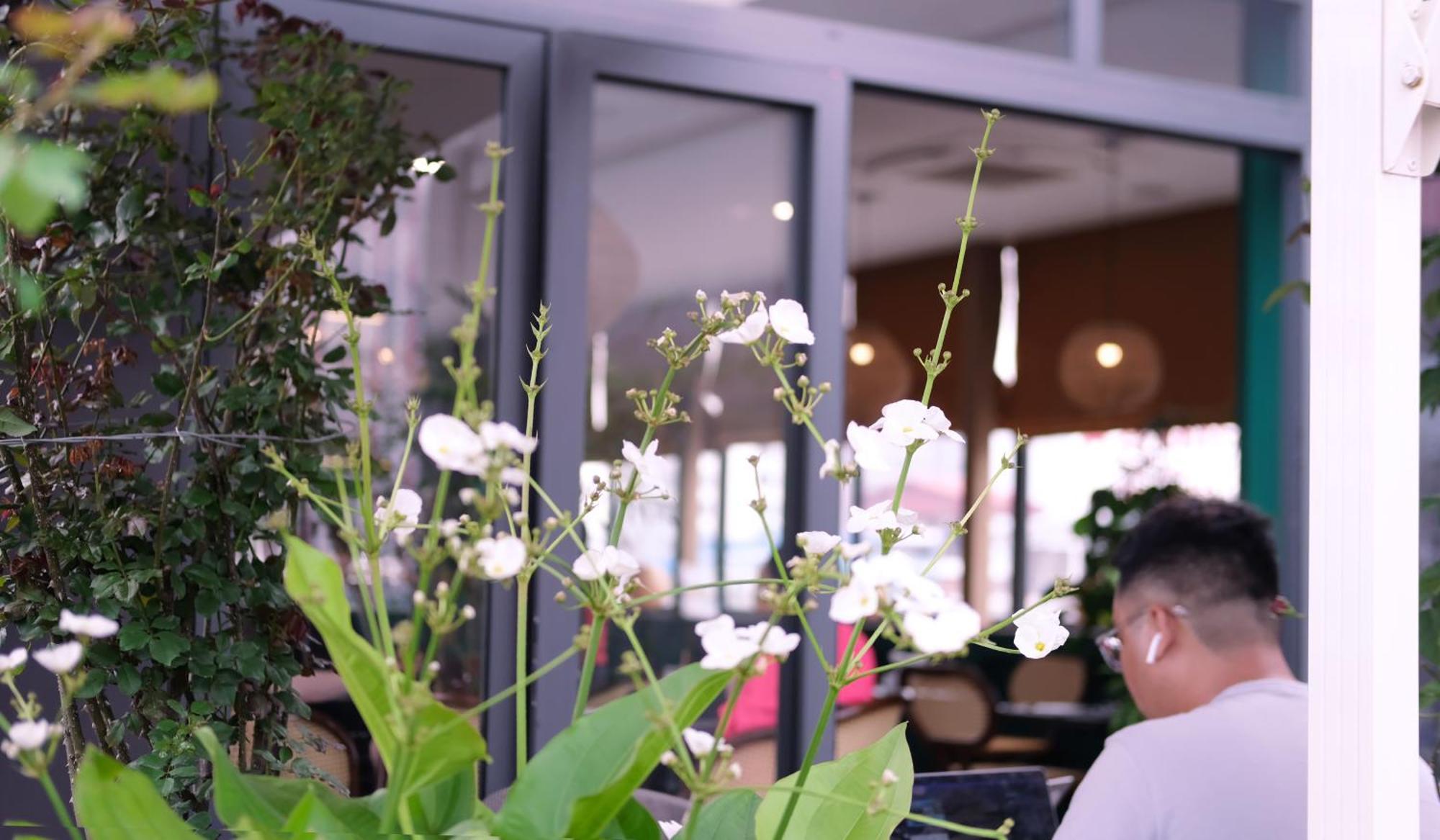 The Bloom Hanoi - Bespoke Living Bagian luar foto